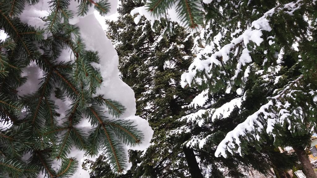 Etheres Tzoumerkon Mountain Resort Kataráktisz Kültér fotó